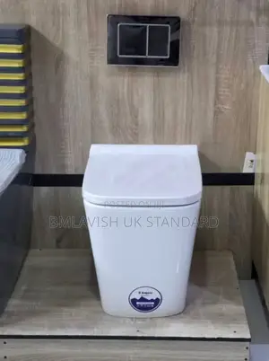 Square White Modern Floor Concealed Water Closet With Accessories