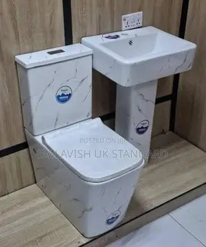 Substantial Designed Set of Water Closet With Wash Hand Basin
