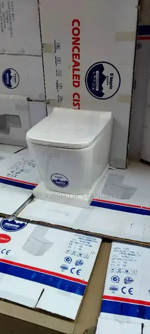 Big Set of White Concealed Water Closet With Tank and Other Accessorie