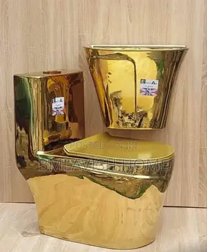 Eagle Gold Water Closet Set With Suspended Wash Hand Basin