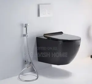 Black Concealed Water Closet Set