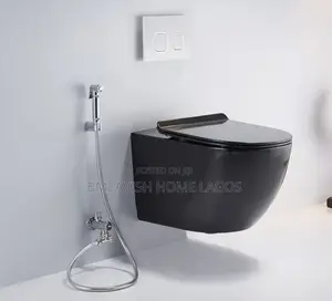 Black Concealed Water Closet Set