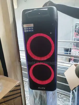 Rechargeable Double 12'inches Alipu