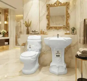 Luxury Queen White Water Closet With Standing Wash Hand Basin