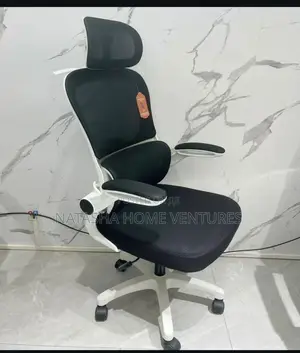 Ergonomic High - Back Mesh Chair