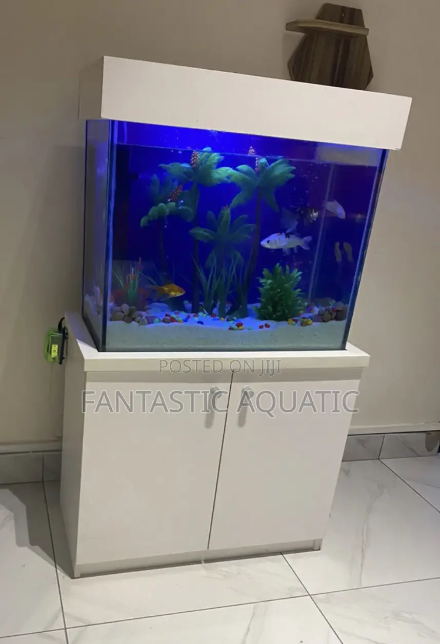 Aquarium With Stand