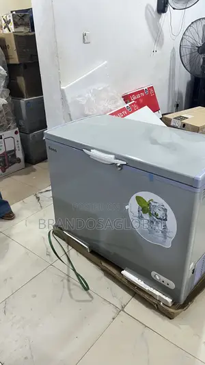 Bona 308l Inverter Chest Freezer Bd-004 –Reliable Food Storage Freezer