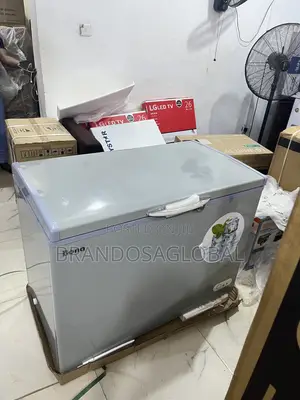 Bona 308l Inverter Chest Freezer Bd-004 – Efficient Cooling Freezer