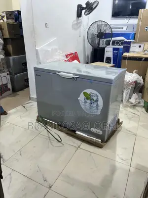 Bona 308l Inverter Chest Freezer Bd-004 – Large Storage Freezer
