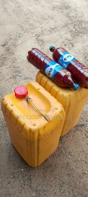 Ebonyi Palm Oil for Sale