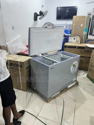 Bona 308l Inverter Chest Freezer Bd-004 – Reliable Commercial Freezer