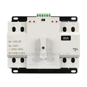 Shel Saq2-125/2p 125a Single Phase Automatic Transfer Switch (Ats)