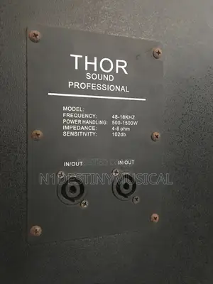15 Inch Speaker