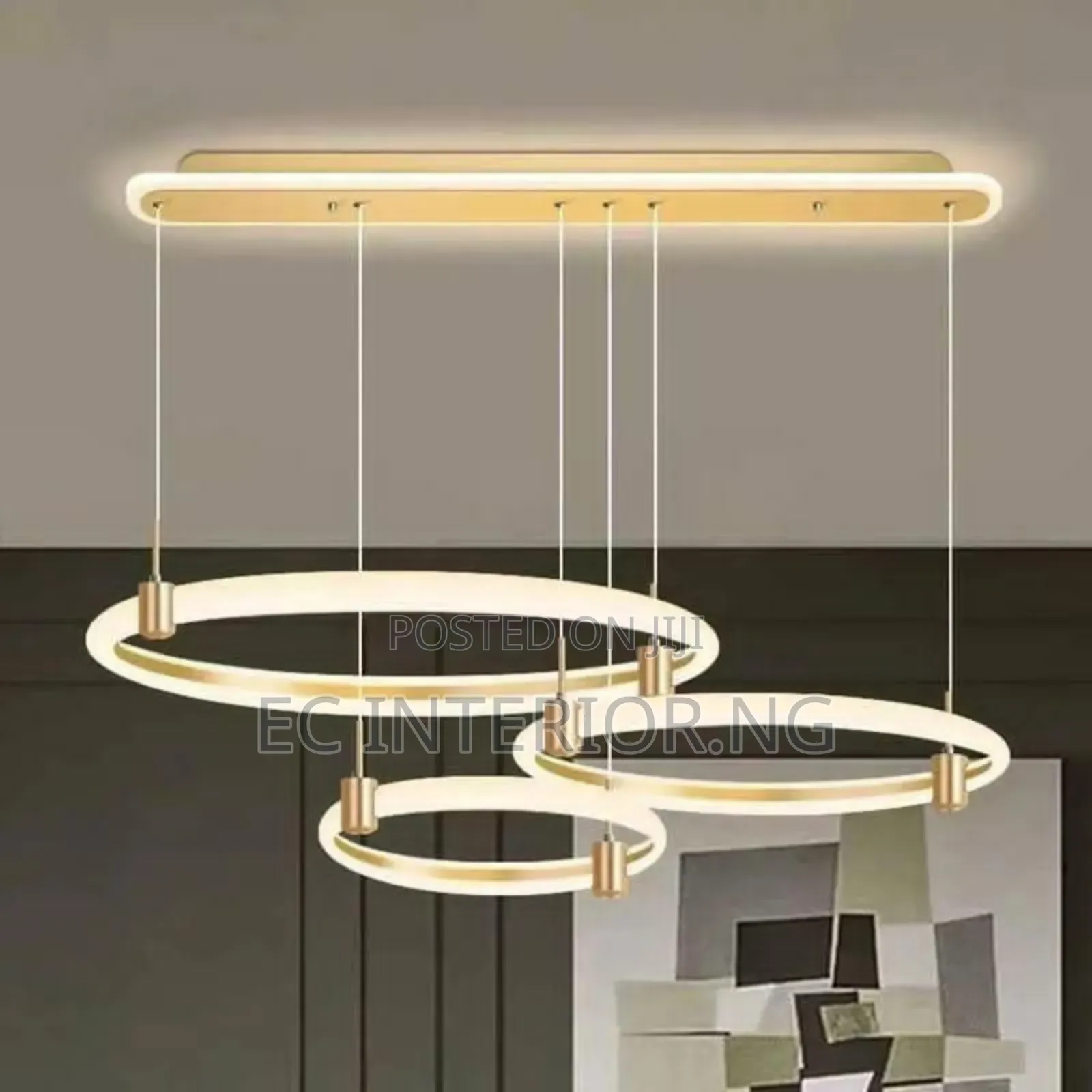 Minimalist Led Ceiling Chandelier Indoor Light Chandelier