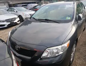 Toyota Corolla Fielder 1.5 Petrol AWD 2009 Gray