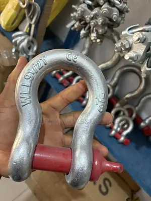 9.5ton Steel Shackles