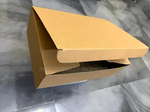 Big Platter/ Mailer Box, 16” Length, 11” Width And 5” Height, 3py