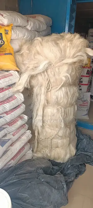 Sissan/Fillas Fibre