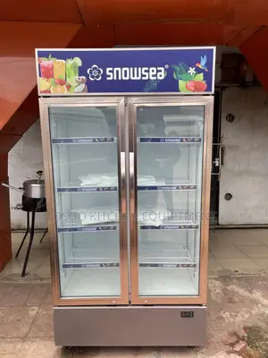 Double Door Chiller