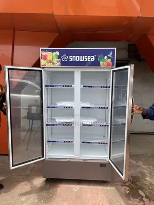 Double Door Chiller