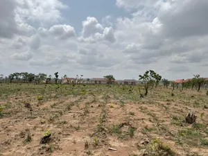 Plots Of Land In Kuje Close To Prime University