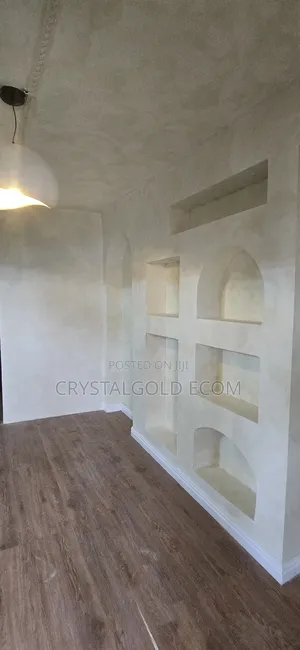 Limewash Painter in Ibadan