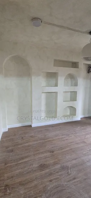 Limewash Painter in Ibadan