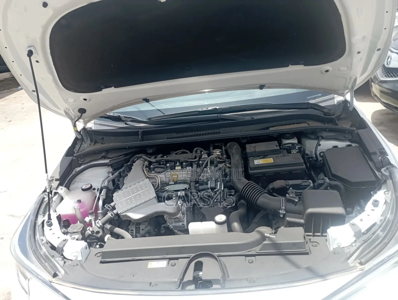New Toyota Corolla 2024 White
