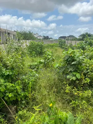 Distress Half Plot of Land for Sale at Cele Medu Street Awoyaya Lagos