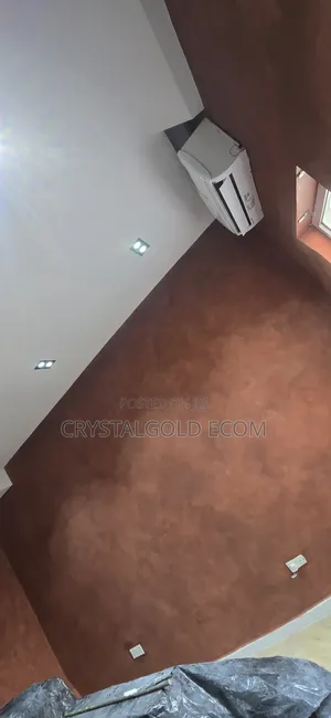 Limewash Painter in Lagos