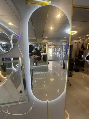 Oval Shaped Led Mirror .