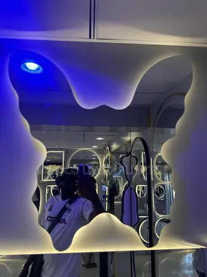 A Well Design Butterfly Shaped Led Bathroom Mirror