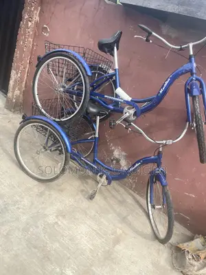 Schwinn Meridian