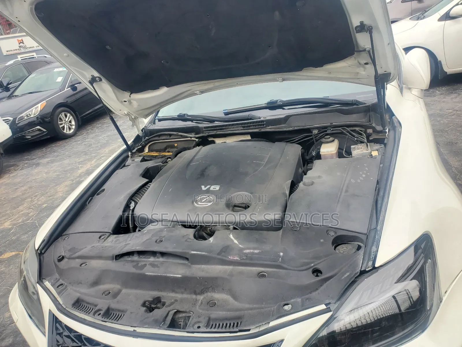 Lexus IS 2008 White