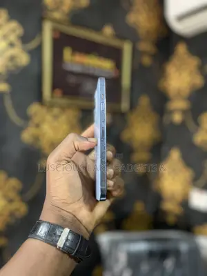 Apple iPhone 13 Pro Max 256 GB Blue