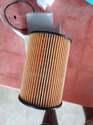 2025 Landrover Oil Filter.