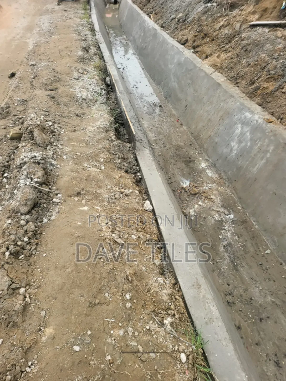 Trapedsodia Drainage