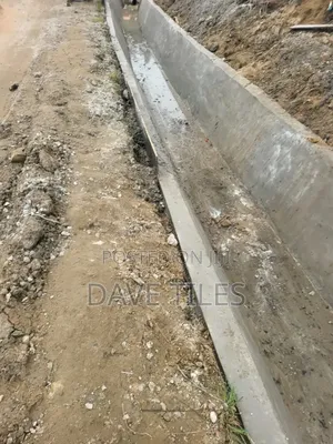 Trapedsodia Drainage