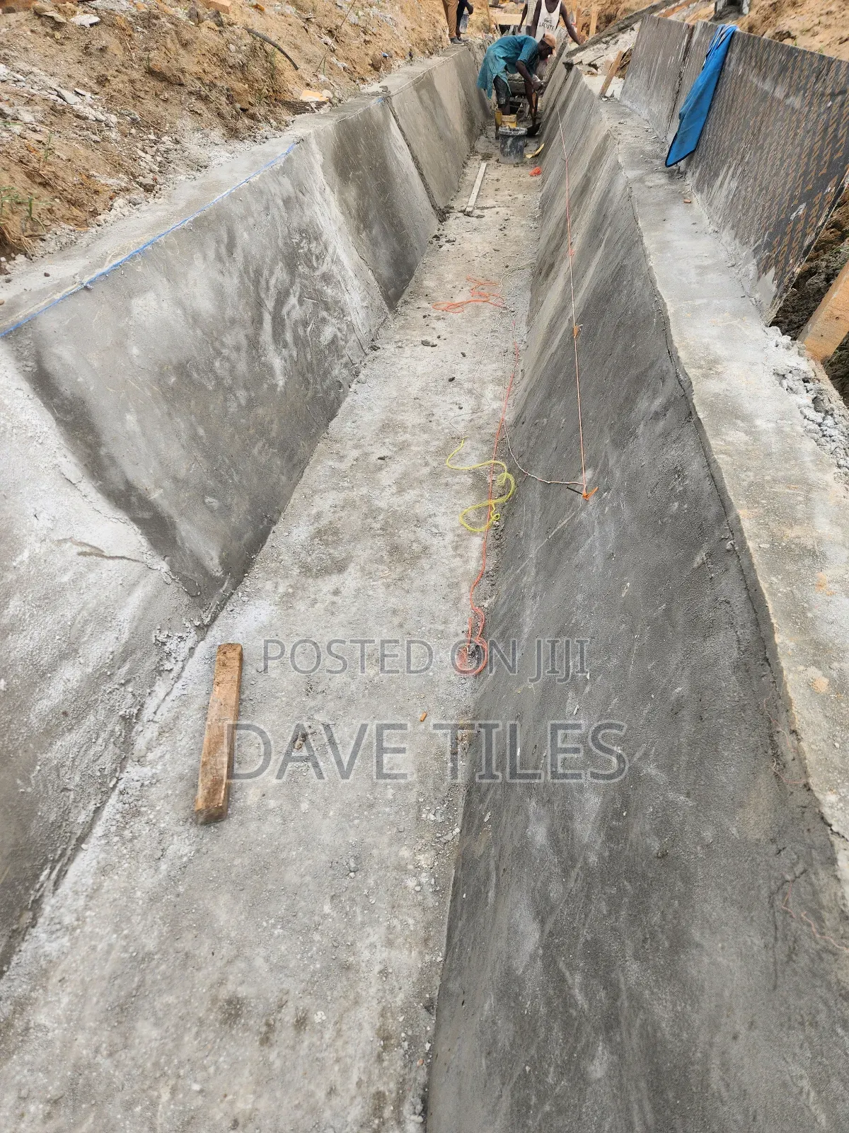 Trapedsodia Drainage