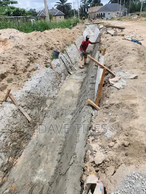 Trapedsodia Drainage