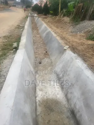 Trapedsodia Drainage System