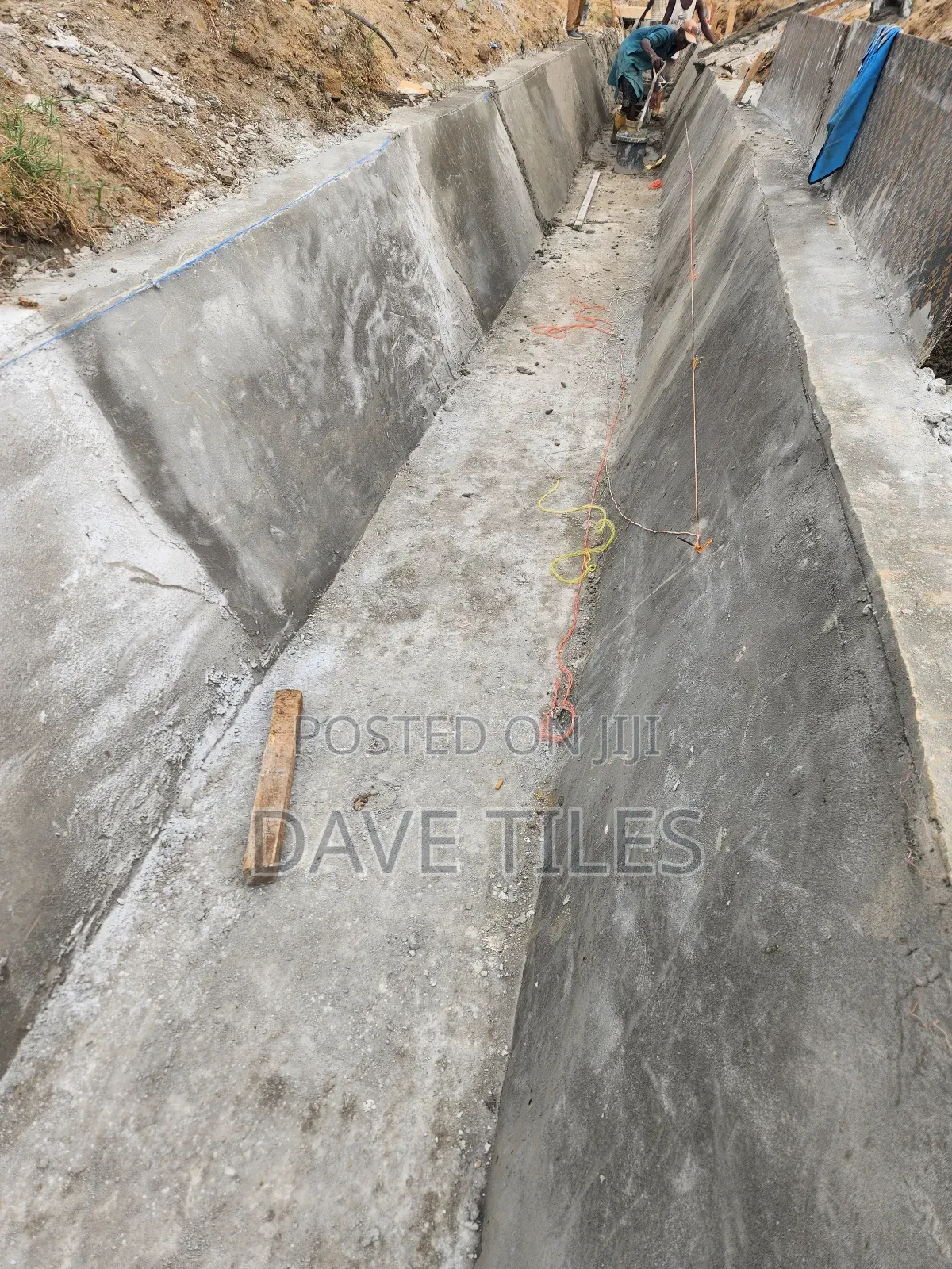 Trapedsodia Drainage