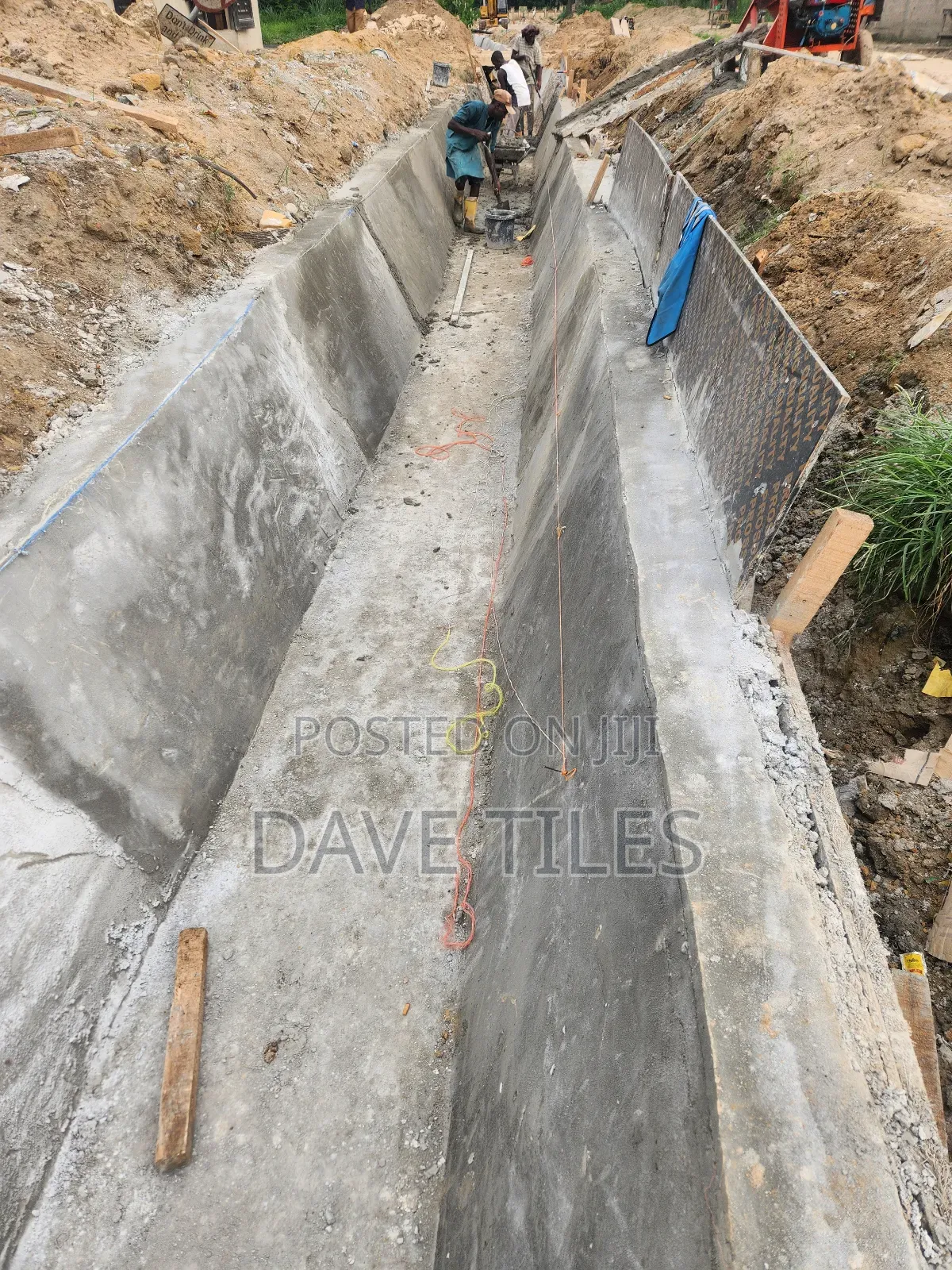 Trapedsodia Drainage