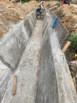 Trapedsodia Drainage
