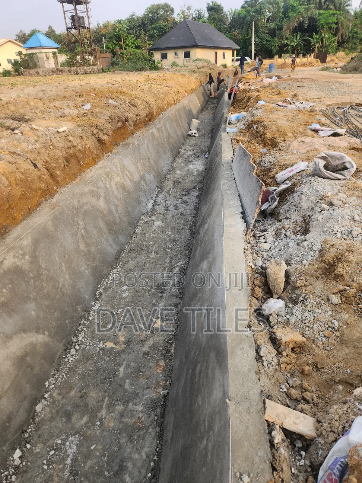 Trapedsodia Drainage
