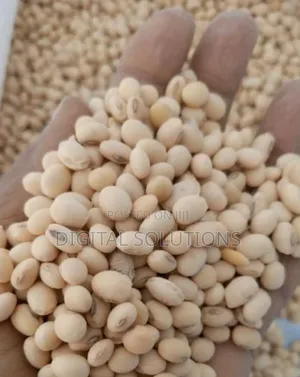 Soya Beans Per 1 Paint Bucket.