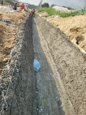 Trapedsodia Drainage