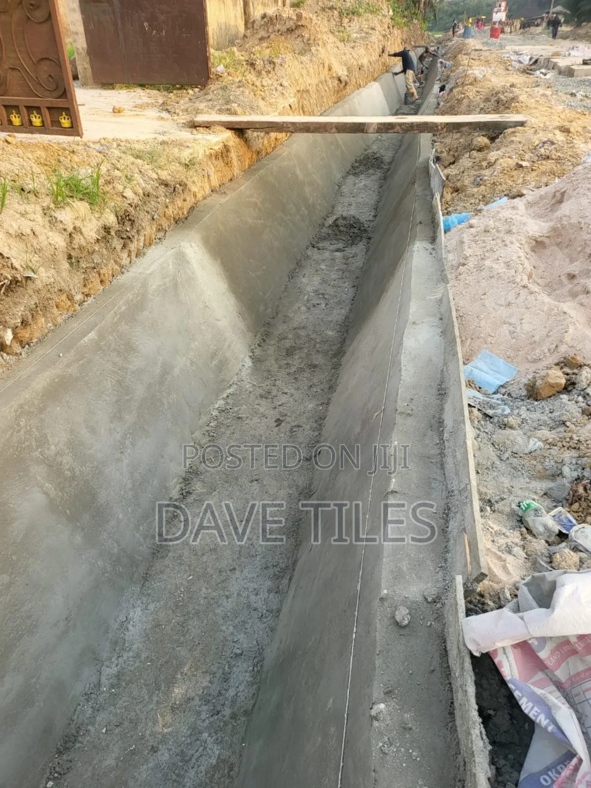 Trapedsodia Drainage