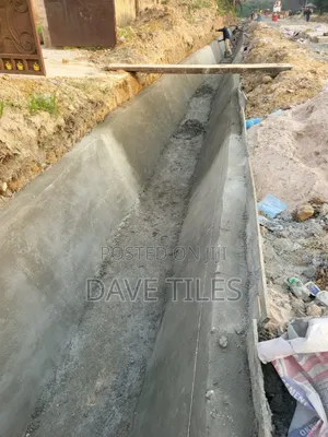 Trapedsodia Drainage