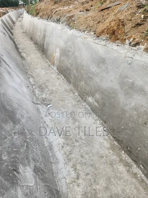 Trapedsodia Drainage